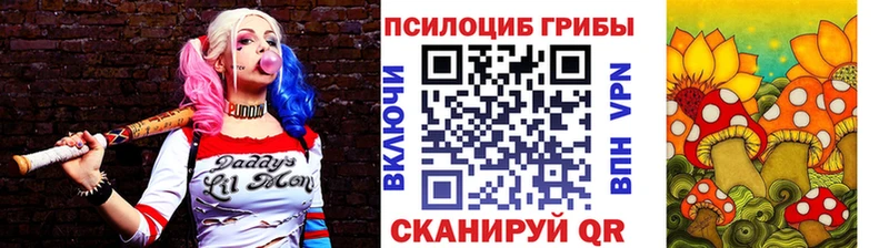 Псилоцибиновые грибы мухоморы  как найти закладки  площадка телеграм  Кемь 